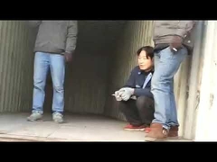 loading grass carpet into 40HQ